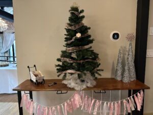 Baby It’s Cold Outside (Baby Shower)- The Historic Rock Barn