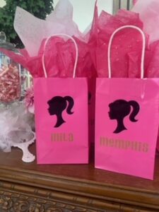 Barbie Spa Party/Birthday- Boxwood House and Gardens