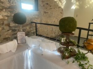 Dilbeck (LOTR) Wedding- The Historic Rock Barn